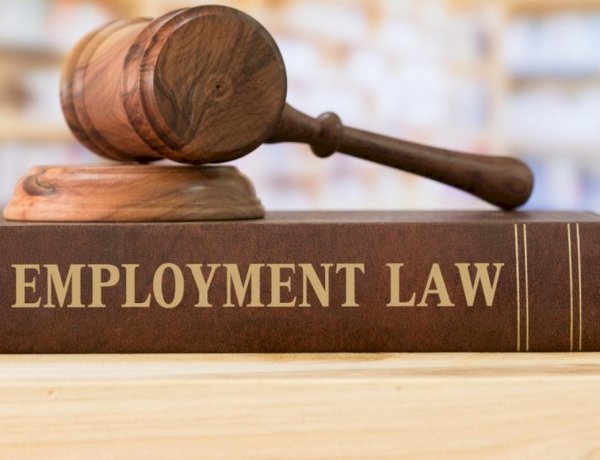 Developments In Employment Law Jurispudence In Zambia: Analysis